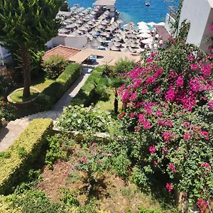 Amelie's & Sarande